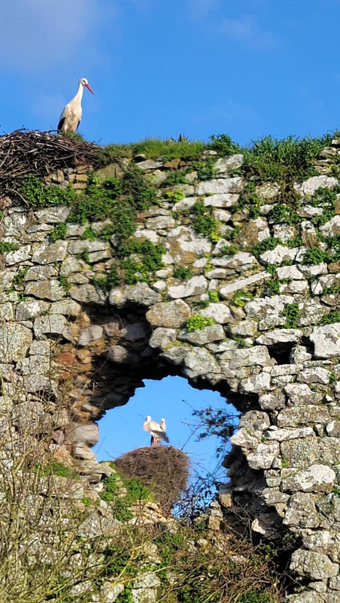 Gite Au Coeur Du Dday Brevands Экстерьер фото